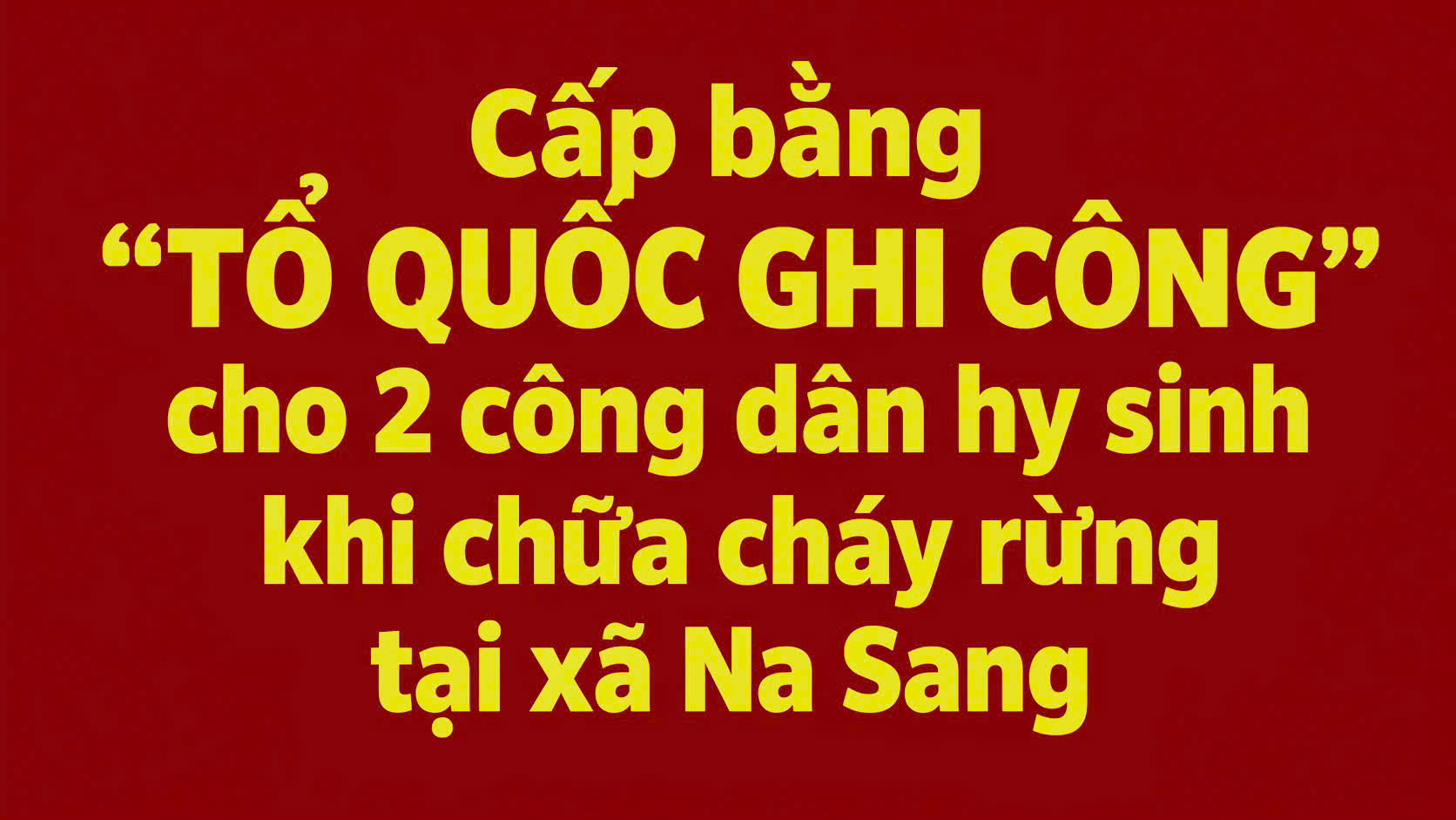 a1dc1fbf42c8c2969bd9.jpg